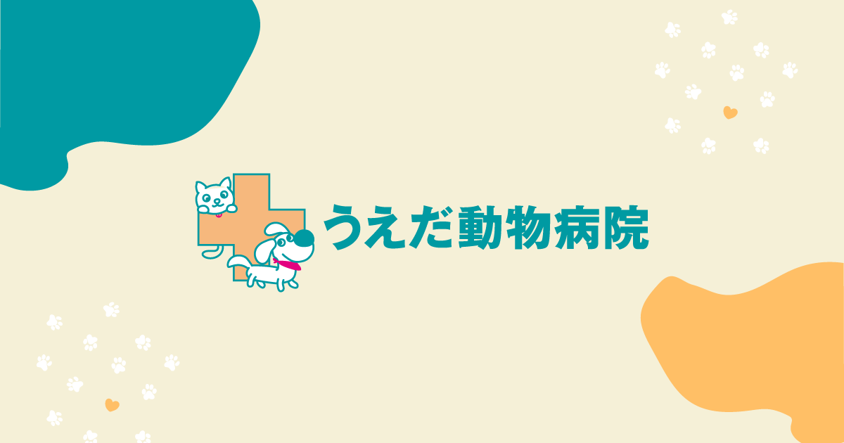 うえだ動物病院 徳島 板野町の動物病院 犬 猫 うさぎ フェレット ハムスターの獣医