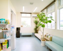 待合は幅に余裕を持たせ、すれ違う際などに配慮しています